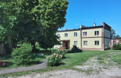 Château à vendre Głuchowo, Palac 1, Grande-Pologne, Image 20/29