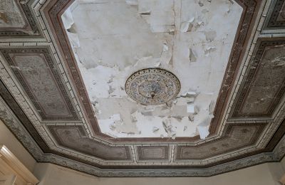 Château à vendre Głuchowo, Palac 1, Grande-Pologne, Plafond