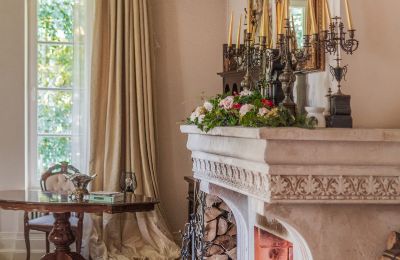 Manoir à vendre Żychlin, Łódź, Image 37/43