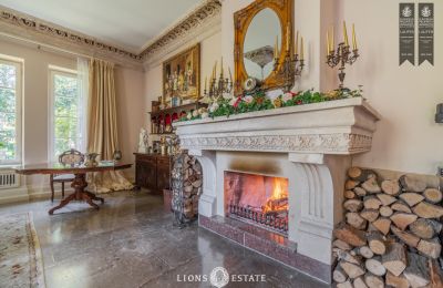 Manoir à vendre Żychlin, Łódź, Image 39/43