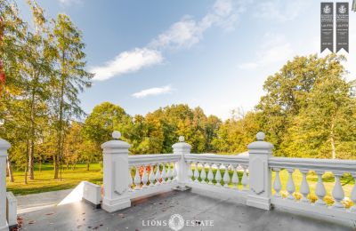Manoir à vendre Żychlin, Łódź, Image 43/43