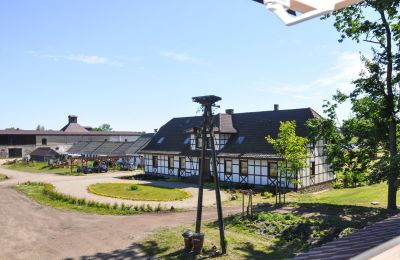 Manoir à vendre Poméranie occidentale, Image 5/20