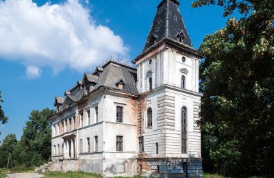 Château à vendre Budziwojów, Pałac w Budziwojowie, Basse-Silésie:  Vue extérieure