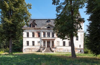 Château à vendre Budziwojów, Pałac w Budziwojowie, Basse-Silésie:  