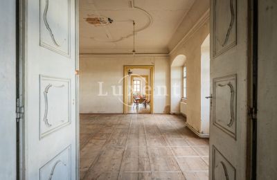 Château à vendre Žitenice, Zámek Žitenice, Ústecký kraj:  Salle de bal