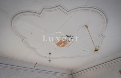 Château à vendre Žitenice, Zámek Žitenice, Ústecký kraj:  Décoration en stuc