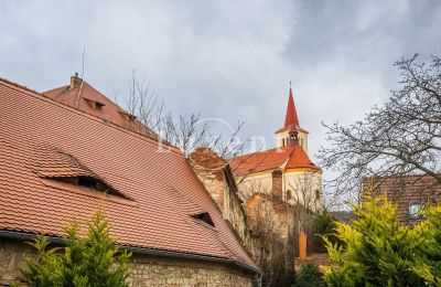 Château à vendre Žitenice, Zámek Žitenice, Ústecký kraj:  