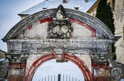 Château à vendre Žitenice, Zámek Žitenice, Ústecký kraj, Image 19/31