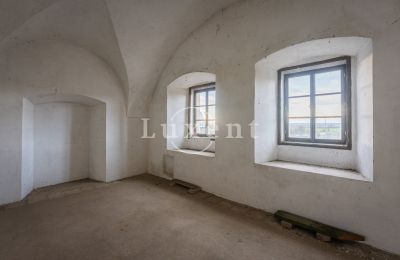 Château à vendre Žitenice, Zámek Žitenice, Ústecký kraj, Image 16/31