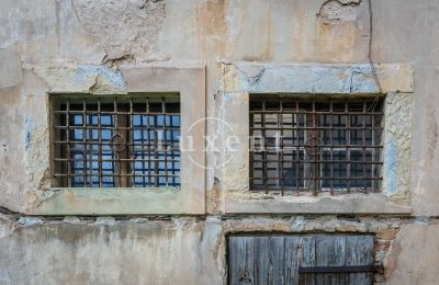 Château à vendre Žitenice, Zámek Žitenice, Ústecký kraj, Image 21/31