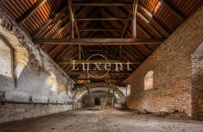 Château à vendre Žitenice, Zámek Žitenice, Ústecký kraj, Image 23/31