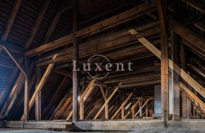 Château à vendre Žitenice, Zámek Žitenice, Ústecký kraj, Image 22/31