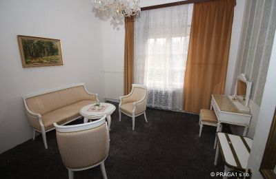 Manoir à vendre Karlovy Vary, Karlovarský kraj:  