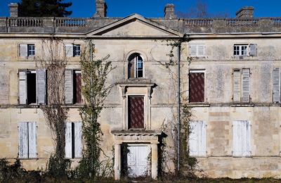 Château à vendre Saintes, Nouvelle-Aquitaine, Image 1/10