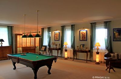 Château à vendre Karlovy Vary, Karlovarský kraj, Image 8/14