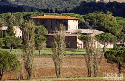 Manoir à vendre Buonconvento, Toscane:  