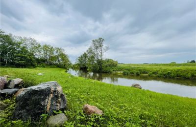 Manoir à vendre Paplin, Dwór w Paplinie, Mazovie, Image 12/20