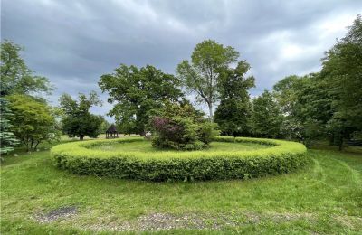 Manoir à vendre Paplin, Dwór w Paplinie, Mazovie:  