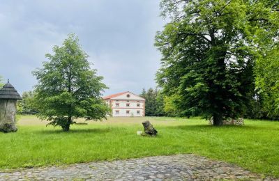 Manoir à vendre Paplin, Dwór w Paplinie, Mazovie, Image 11/20