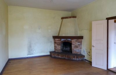 Manoir à vendre Leszno, Grande-Pologne, Cheminée