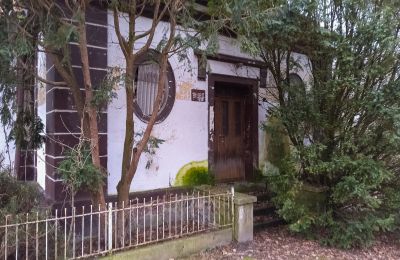 Manoir à vendre Leszno, Grande-Pologne, Image 3/15