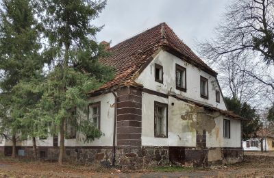 Manoir à vendre Leszno, Grande-Pologne:  