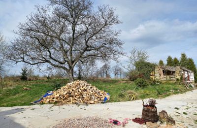 Maison de campagne à vendre Lubomierz, Basse-Silésie, Image 5/27