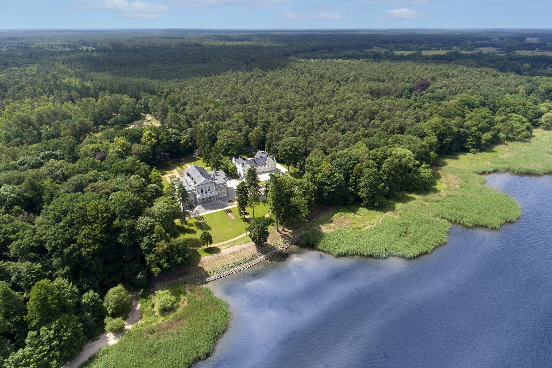 Poméranie occidentale à vendre