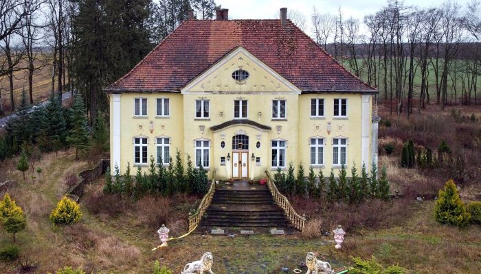 Manoir à vendre Drawno, Poméranie occidentale,  Pologne