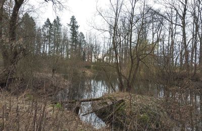 Manoir à vendre Drawno, Poméranie occidentale, Lac/étang