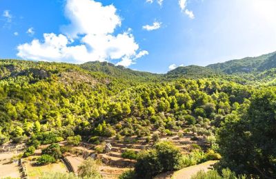 Manoir à vendre Estellencs, Îles Baléares:  Vue