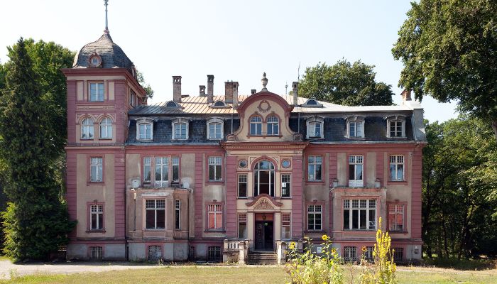 Château Brzeźnica 1