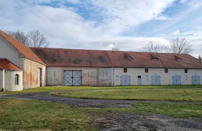 Château à vendre Brzeźnica, Bobrzańska 1, Lubusz, Stodoły część Wschodnia