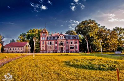 Château à vendre Brzeźnica, Bobrzańska 1, Lubusz:  Stan wspołczesny