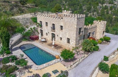 Demeure historique à vendre Relleu, Valence, Image 24/24