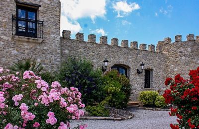 Demeure historique à vendre Relleu, Valence, Image 6/24