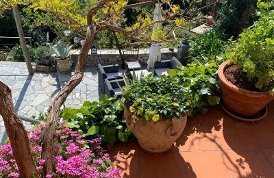 Maison de campagne à vendre Poggio Bottaro, Ligurie, Image 15/30