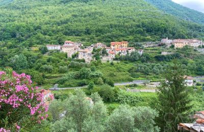 Maison à vendre Nasino:  