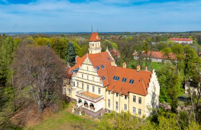 Château à vendre Ornontowice, Zamkowa, Silésie, Vue de l'arrière