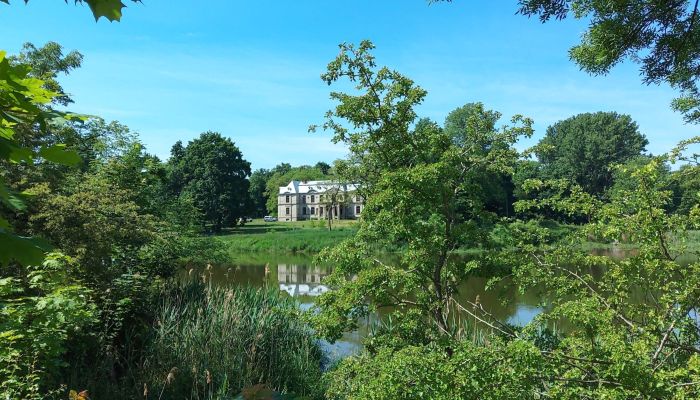 Château à vendre Więsławice, Cujavie-Poméranie,  Pologne