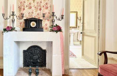 Château à vendre Centre-Val de Loire, Image 9/12