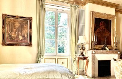 Château à vendre Centre-Val de Loire, Image 6/12