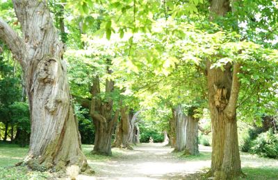 Château à vendre Centre-Val de Loire, Image 12/12
