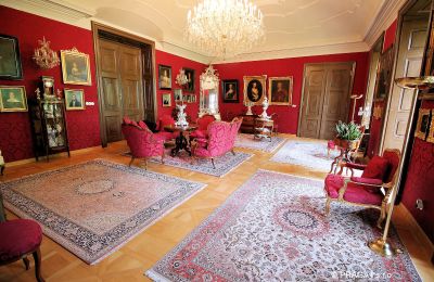Château à vendre Kraj Vysočina, Salon