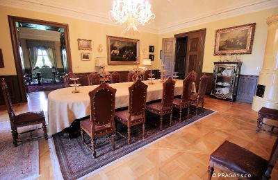 Château à vendre Kraj Vysočina, Image 8/19