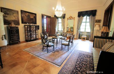 Château à vendre Kraj Vysočina, Image 9/19