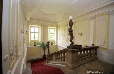 Château à vendre Kraj Vysočina, Vestibule