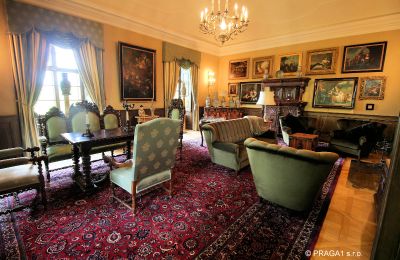 Château à vendre Kraj Vysočina, Salle de séjour