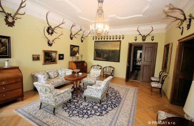 Château à vendre Kraj Vysočina, Image 13/19