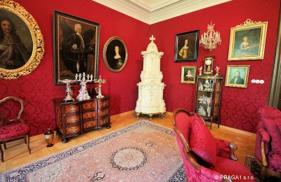 Château à vendre Kraj Vysočina, Antiquités